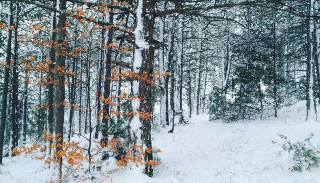 Korca Winter Tour