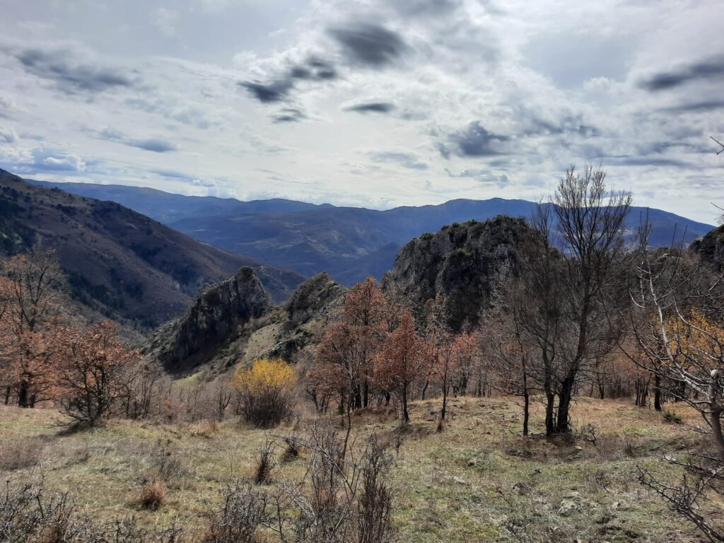 Panarit - Treskë - Trebickë